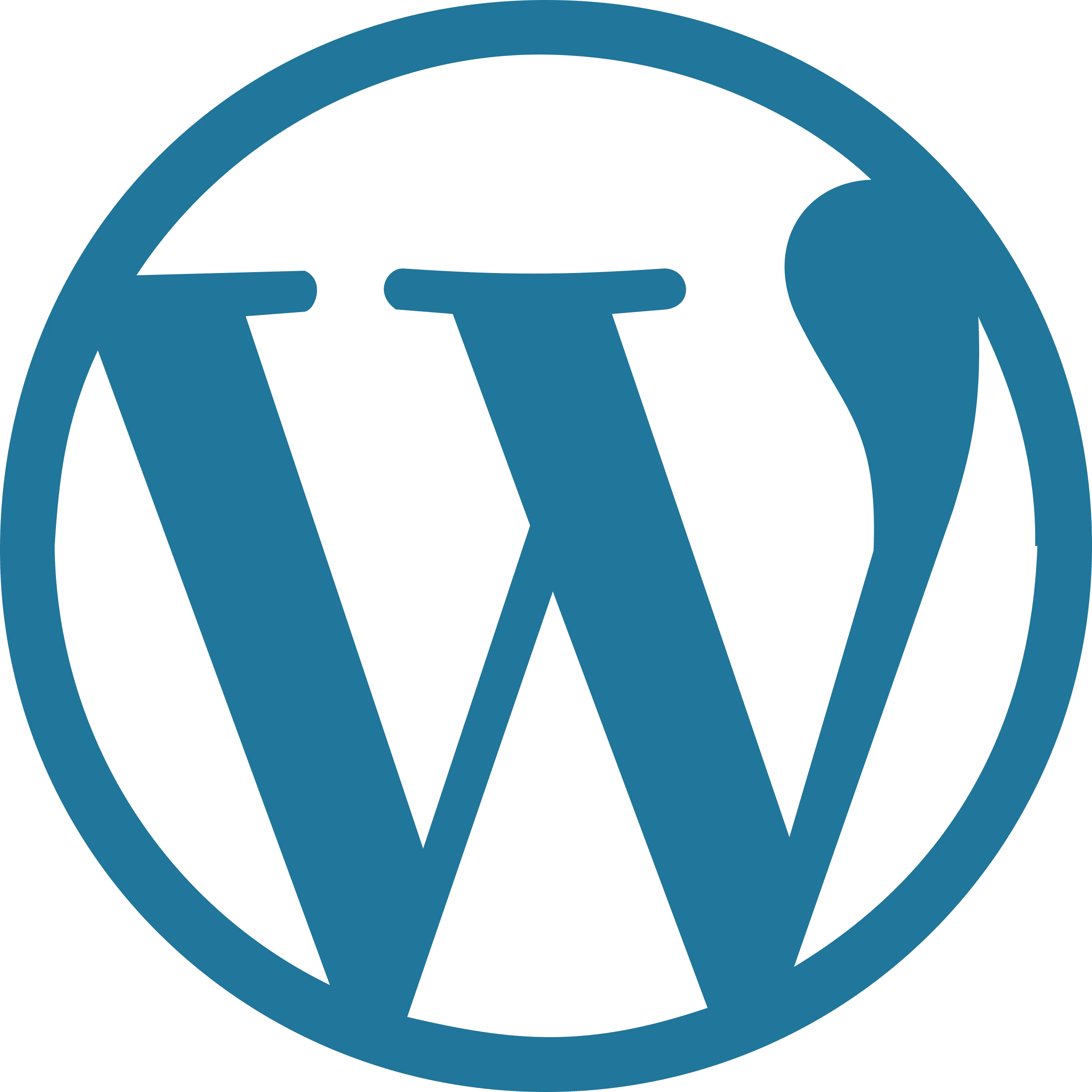 Wordpress